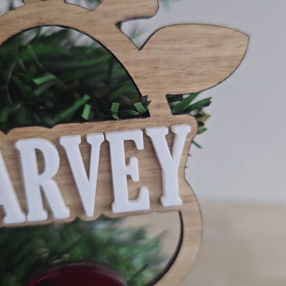 Reindeer Name Decoration